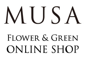 MUSA Flower & Green ONLINE SHOP