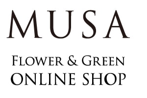 MUSA Flower & Green ONLINE SHOP