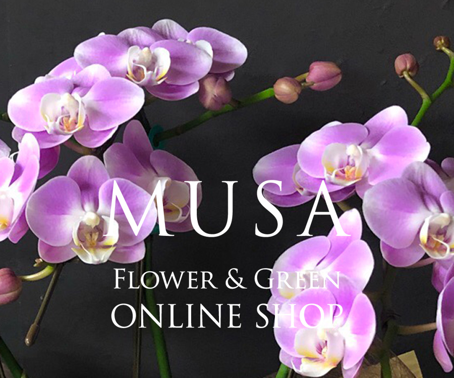 MUSA Flower & Green ONLINE SHOP