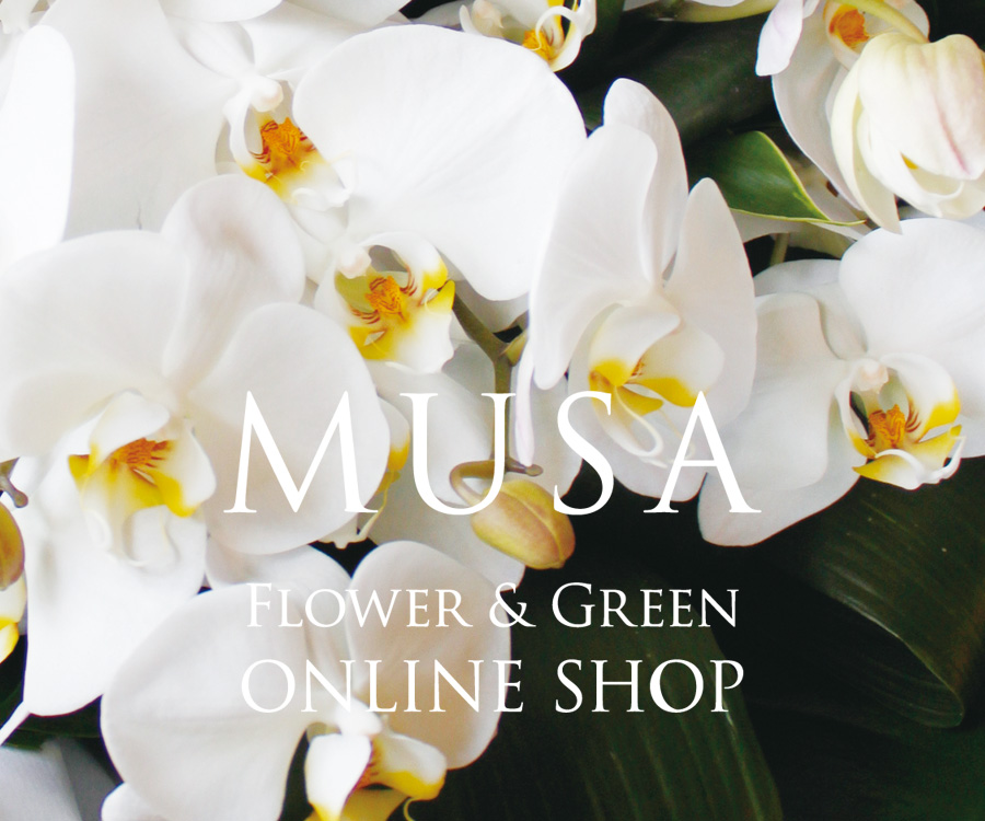MUSA Flower & Green ONLINE SHOP