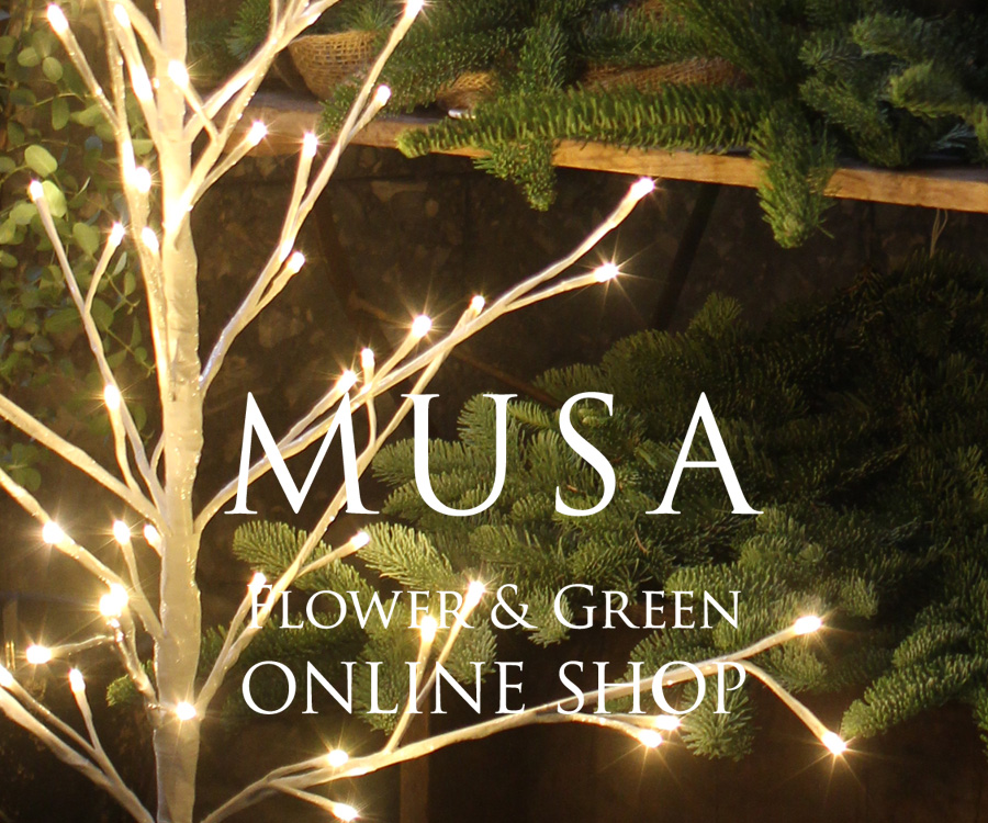 MUSA Flower & Green ONLINE SHOP