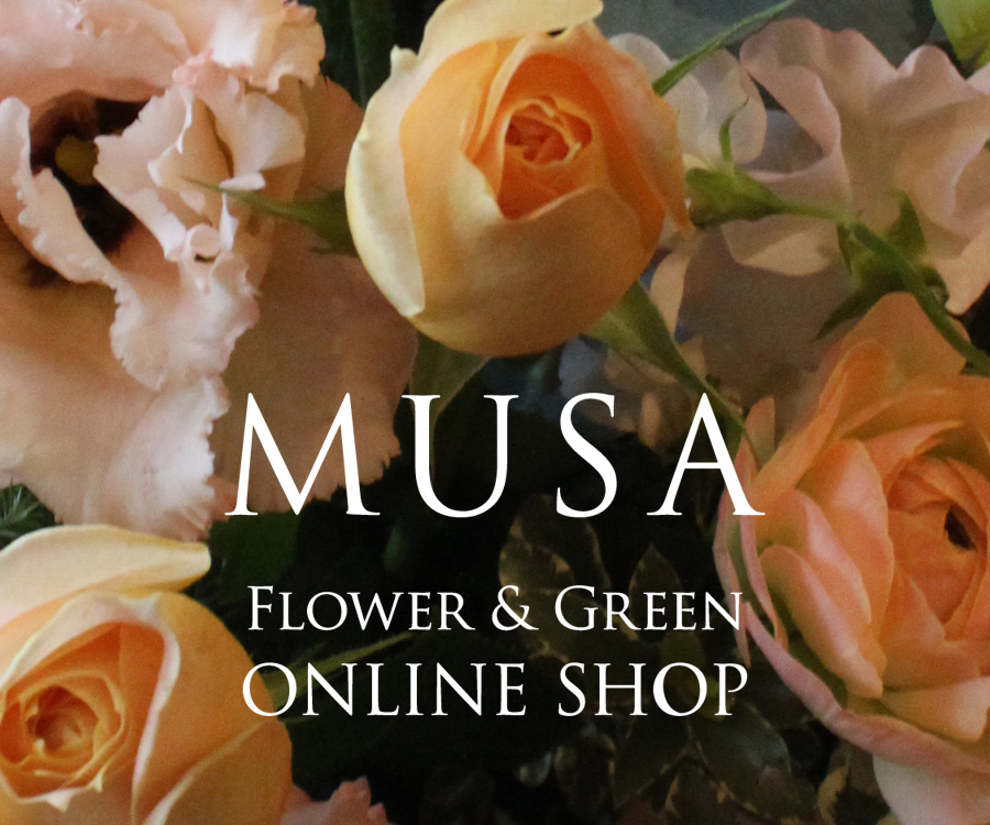 MUSA Flower & Green ONLINE SHOP