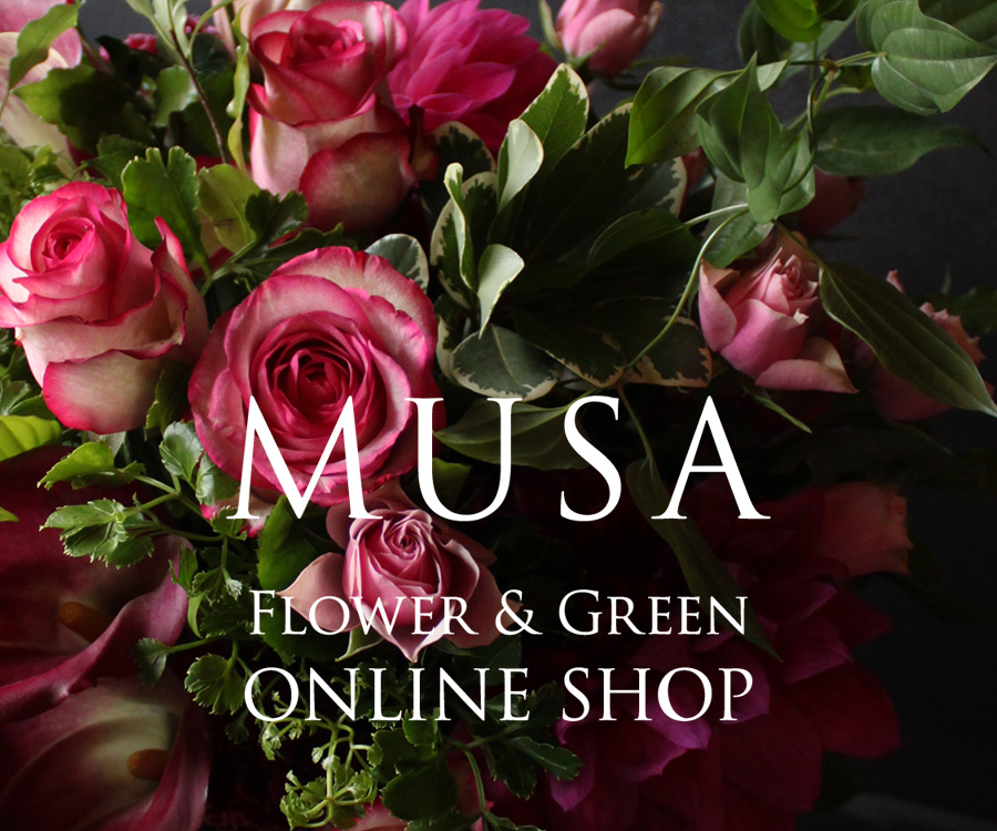 MUSA Flower & Green ONLINE SHOP