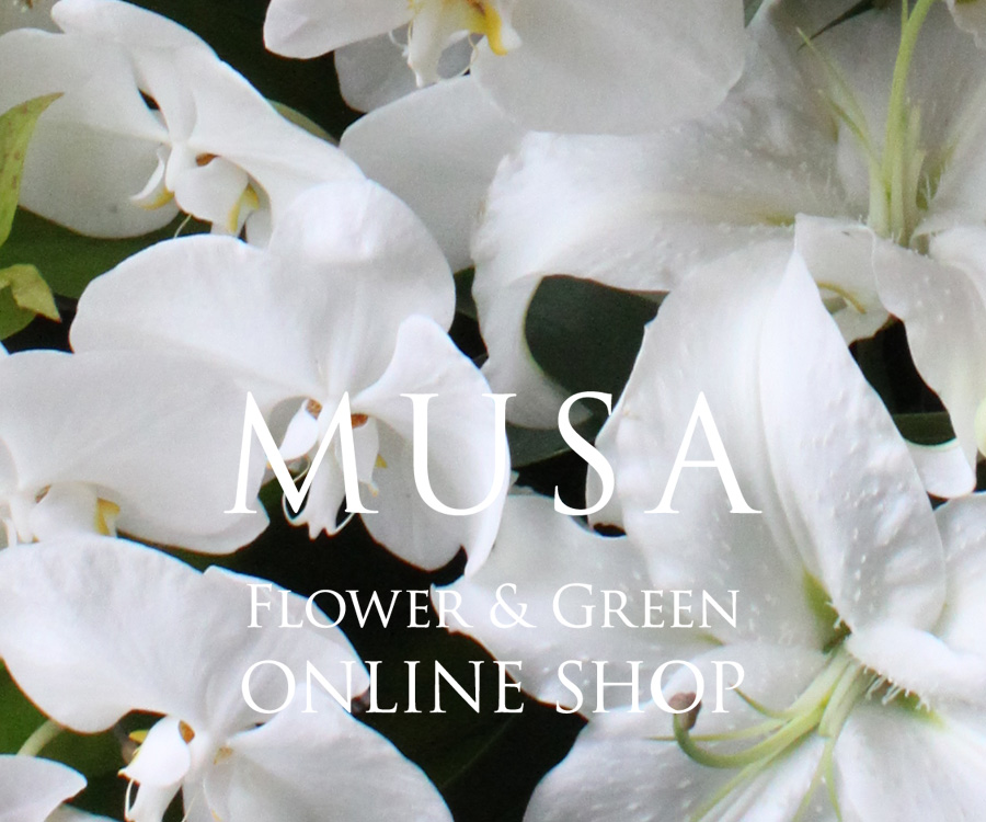 MUSA Flower & Green ONLINE SHOP