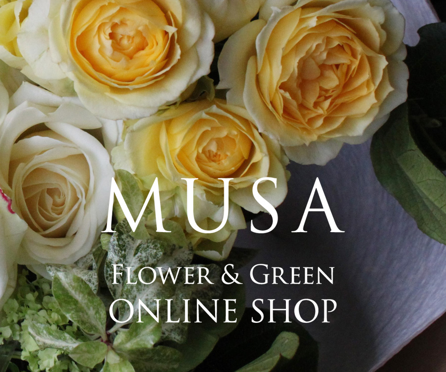 MUSA Flower & Green ONLINE SHOP