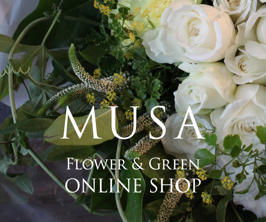 MUSA Flower & Green ONLINE SHOP