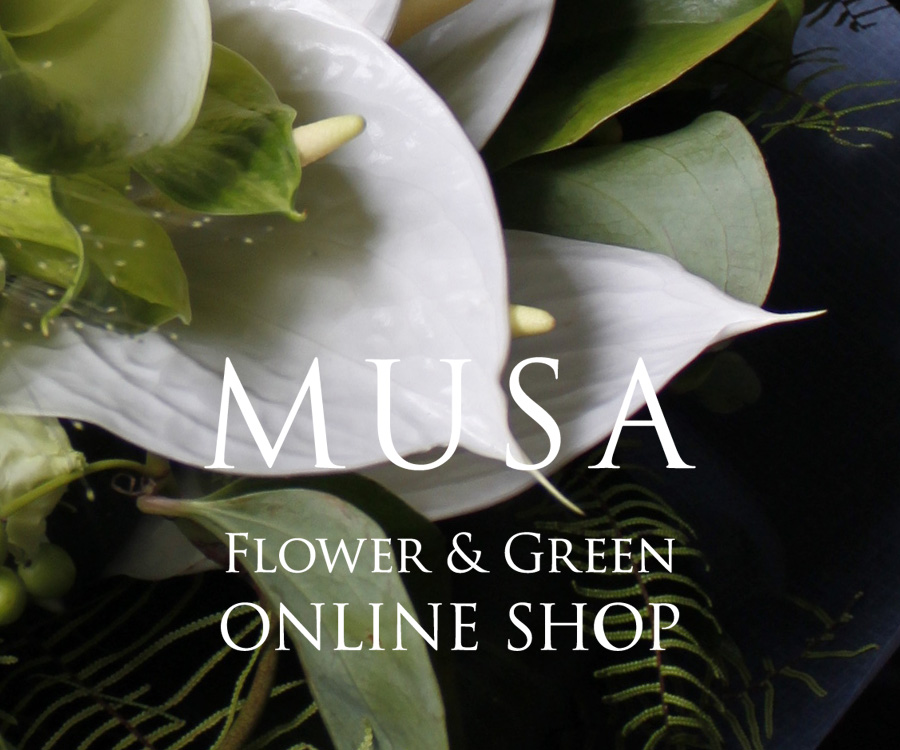 MUSA Flower & Green ONLINE SHOP