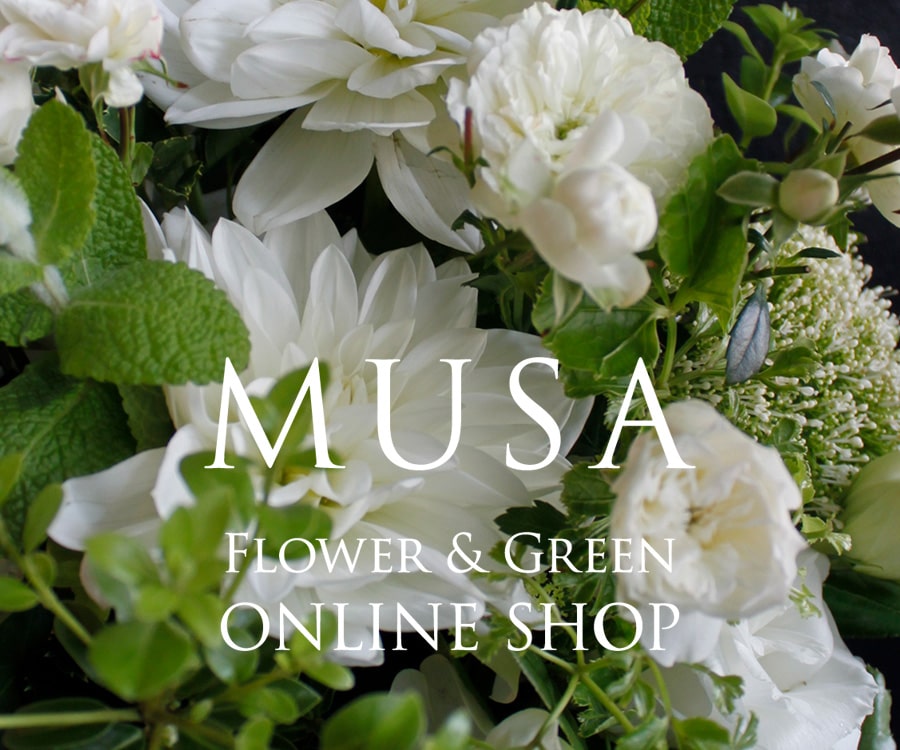 MUSA Flower & Green ONLINE SHOP