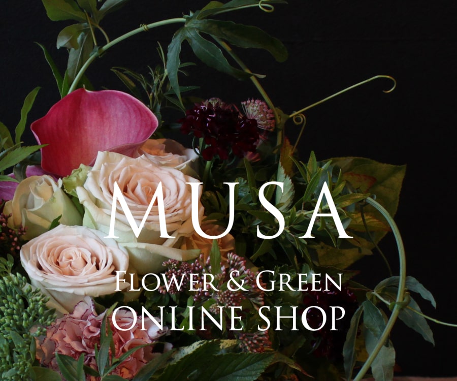 MUSA Flower & Green ONLINE SHOP