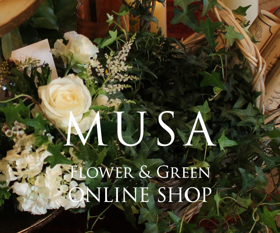 MUSA Flower & Green ONLINE SHOP