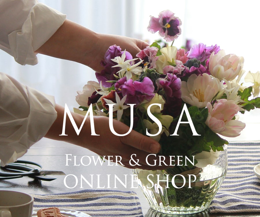 MUSA Flower & Green ONLINE SHOP