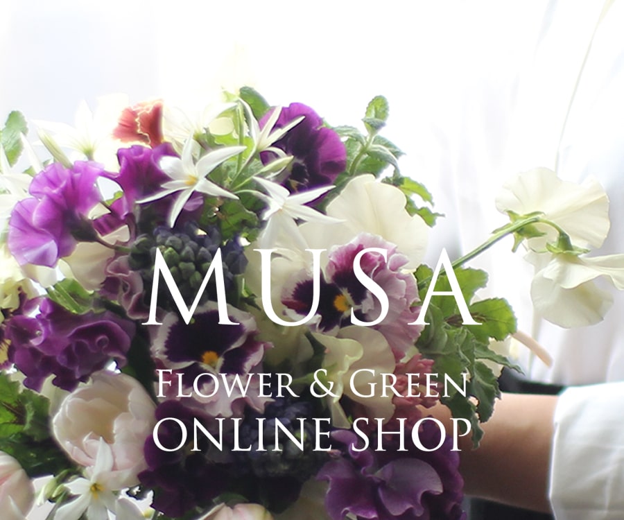 MUSA Flower & Green ONLINE SHOP