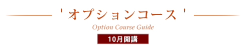 オプションコースのご案内